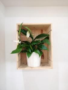 Apartamento Luna de Noviembre