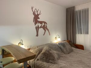 Bansko Ski To Door Studio De Luxe