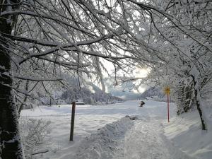 Ferienwohnung Südblick