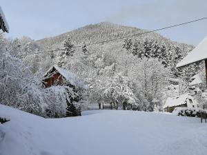 Ferienwohnung Südblick