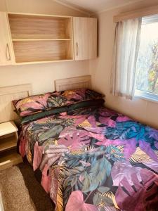 69 Newquay bay resort Pet friendly