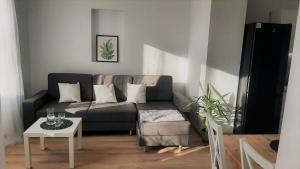 Apartament Stare Kino
