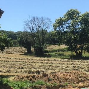 Maisons de vacances Le Tarde - Crecerelle : photos des chambres