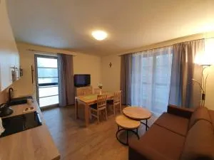 Apartmán Praděd v Říčkách - Říčky v Orlických horách - Pustiny