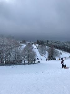 Appartement Familie Willems Winterberg 3