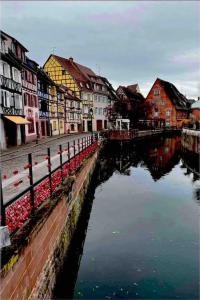 Appartements La jolie maison bleue, au coeur de l'Alsace : photos des chambres