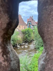 Appartements La jolie maison bleue, au coeur de l'Alsace : photos des chambres