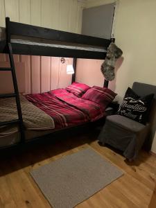 Hyggelig leilighet i sentrum