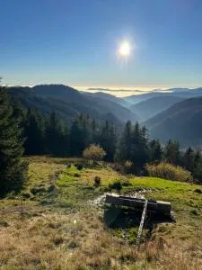 Haus Wiesenquelle, Deluxe-Apartment 'Feld & Berg' - Feldberg