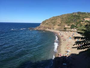 Appartements Pieds dans l’eau a Collioure : photos des chambres