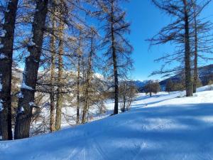 Appartements La Belle Epoque - au coeur de la Cite medievale : photos des chambres