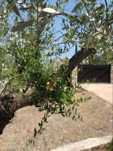 Filoxenos Estia-Houses