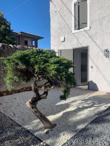 Magnolia Country House