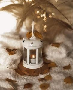 Il Rifugio della Quiete