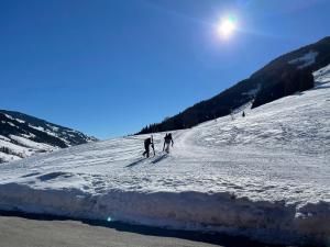 Hotel-Pension Schattberg