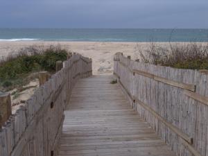 Apartments Mimose img20