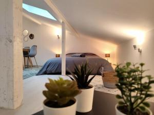 Appartements Leopold Room 30m2 Hyper centre, Netflix & Wi-fi : photos des chambres