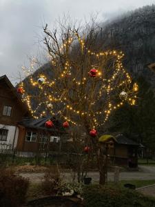 Ferienwohnung bon WAB