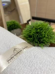 Studio Stankovic Bansko Royal Towers 326
