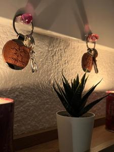 Le Val dHuez, Vue sur le Village et le Domaine