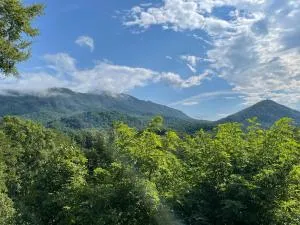 Bear Doodle - Pleasant Hill