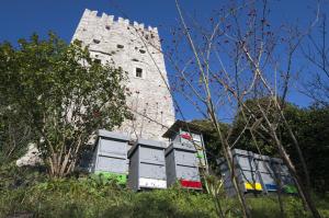 Apartmaji in sobe Marija Jera Štanjel 