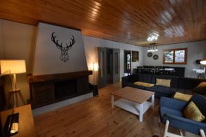 Chalet de montagne
