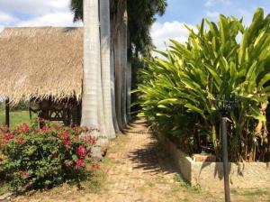 Himawari Restaurant & Cottage