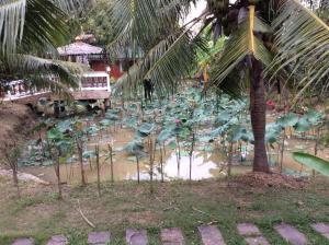 Himawari Restaurant & Cottage