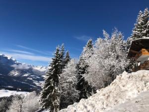 Ferienhaus Gerti Werfenweng