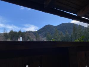 Alvi Apartment Poiana Brasov