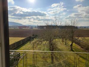 Ferienwohnung ländlich und in Seenähe