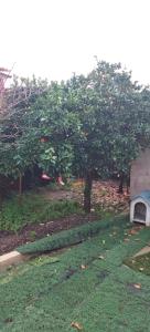 Casinha de chocolate