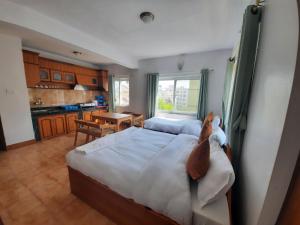 Eco Inn Guest House