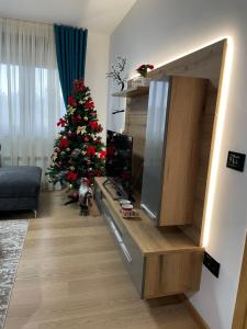 Home Sweet Apartments Zlatibor