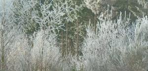 Le Numéro 12 - Chalet à Francorchamps