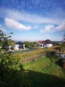 Appartement Cozy La Mansarda (Attic)