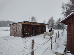 Kolorowe Wzgórze agroturystyka i konie