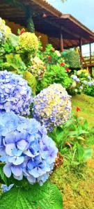 Chacara Diniz São Francisco Xavier