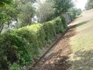 Green gables - Bethulie