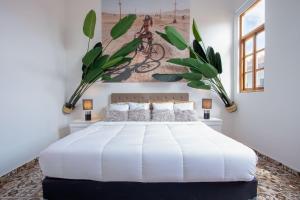 AmazINN Panamá Casa Arias Boutique
