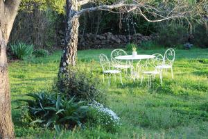 Villas Mas Les Romarins, 10 min d'Uzes, grand jardin, nid de repos et base pour activites dans le Gard, max 8 adultes et 4 enfants : photos des chambres