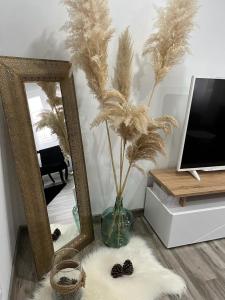 Colmar,appart chaleureux 2 pas centre avec jardin