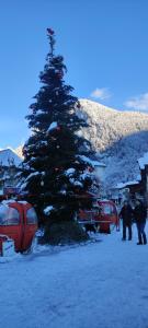 DOMAINE DU GRAND TETRAS SAMOENS