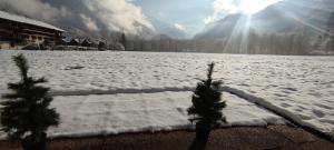 DOMAINE DU GRAND TETRAS SAMOENS