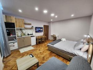 Malavi A5 top center apartment Ruse