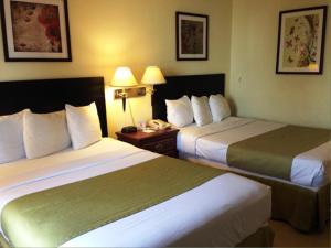 Double Room with Two Double Beds - Accessible/Non-Smoking room in Days Inn by Wyndham Irving Grapevine DFW Airport North