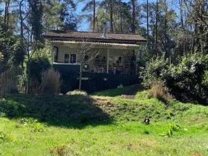 comfortable chalet in a unique location in forest - Wuustwezel