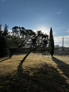 La casa terra dei sogni