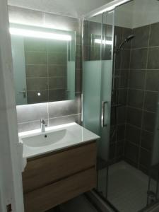Appartements Appartement T3 - 15 mn Marche Noel - : photos des chambres